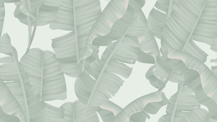 Papier peint à motif  Feuilles de bananier gris