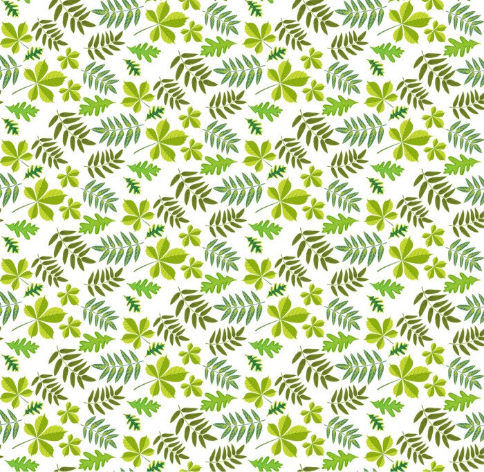 Papier peint à motif  Feuilles de fond transparente
