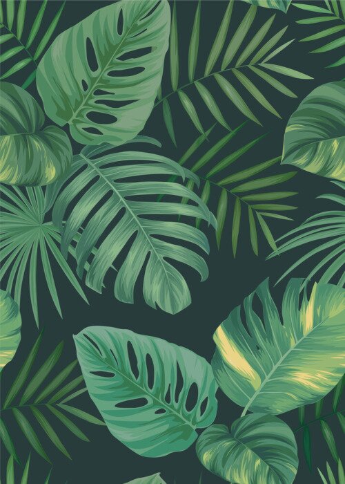 Papier peint à motif  Feuilles de Monstera avec décoloration jaune