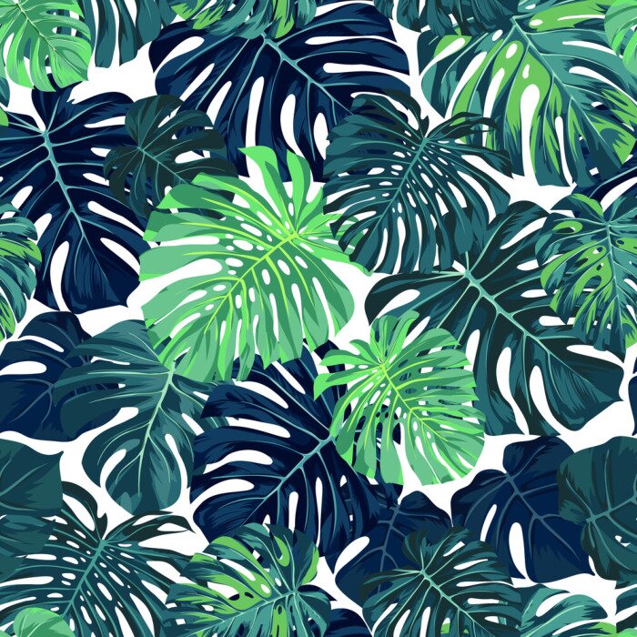 Papier peint à motif  Feuilles de monstera dans deux couleurs