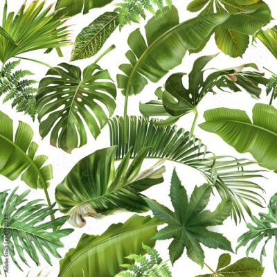 Papier peint à motif  Feuilles de palmier de la forêt équatoriale