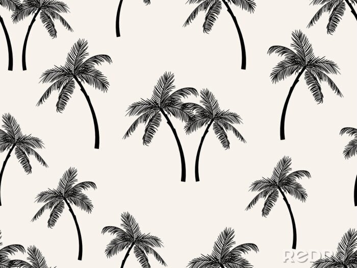 Papier peint à motif  Feuilles de palmier - flore noire et blanche