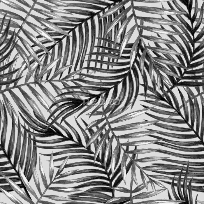 Papier peint à motif  Feuilles de palmier monochromes peintes à l'aquarelle