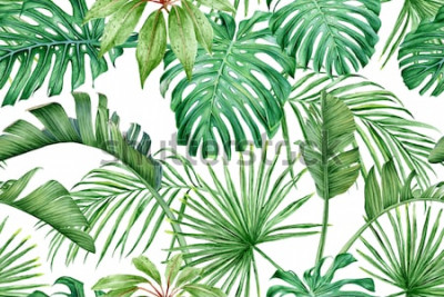 Papier peint à motif  Feuilles de palmier peintes à la main