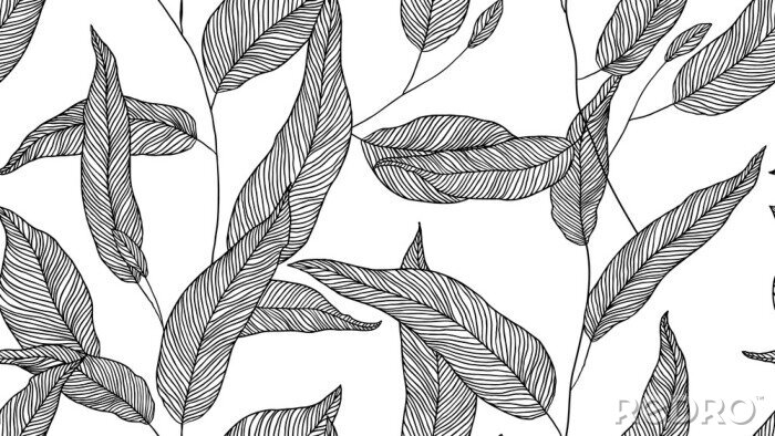 Papier peint à motif  Feuilles de plantes esquissées