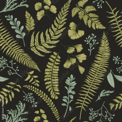 Papier peint à motif  Feuilles de plantes forestières