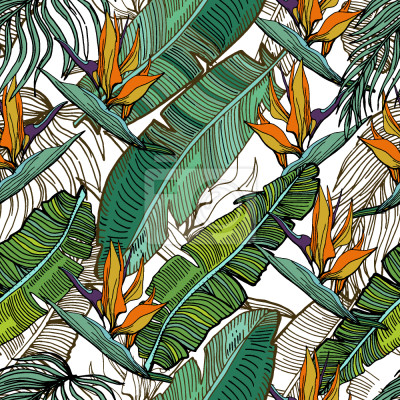 Papier peint à motif  Feuilles de Tropicales banane