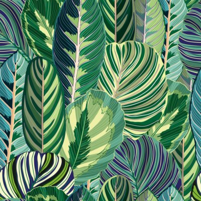 Papier peint à motif  Feuilles exotiques des tropiques