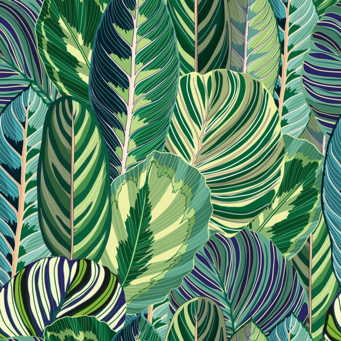 Papier peint à motif  Feuilles exotiques des tropiques