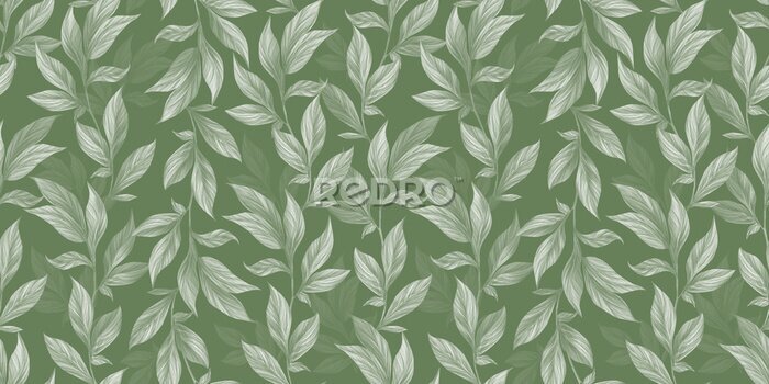 Papier peint à motif  Feuilles grimpantes en vert