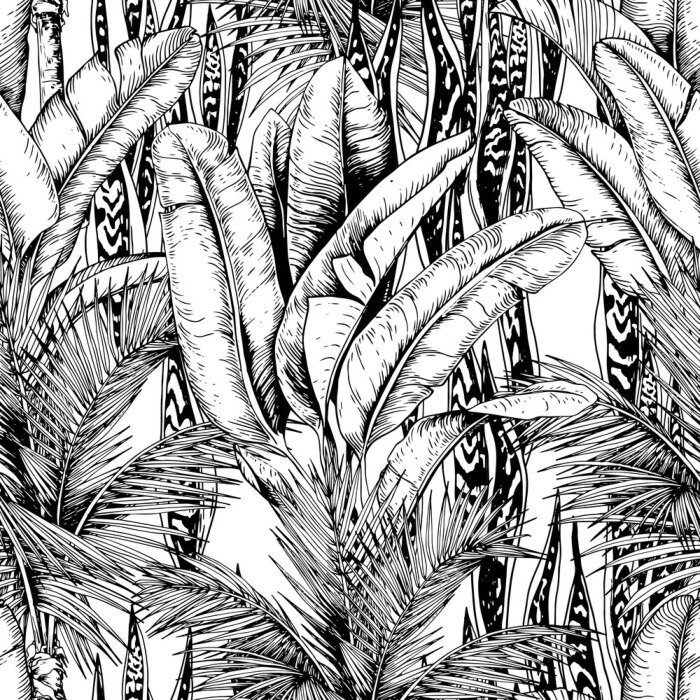 Papier peint à motif  Feuilles noires et blanches des tropiques