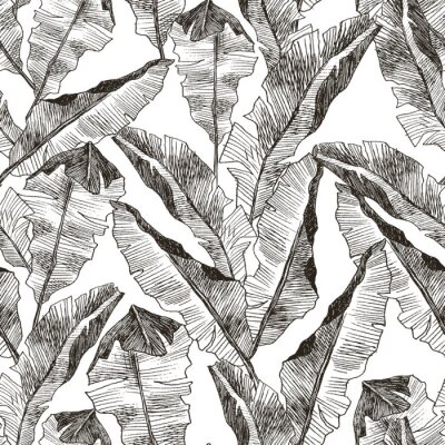 Papier peint à motif  Feuilles tropicales esquissées au crayon
