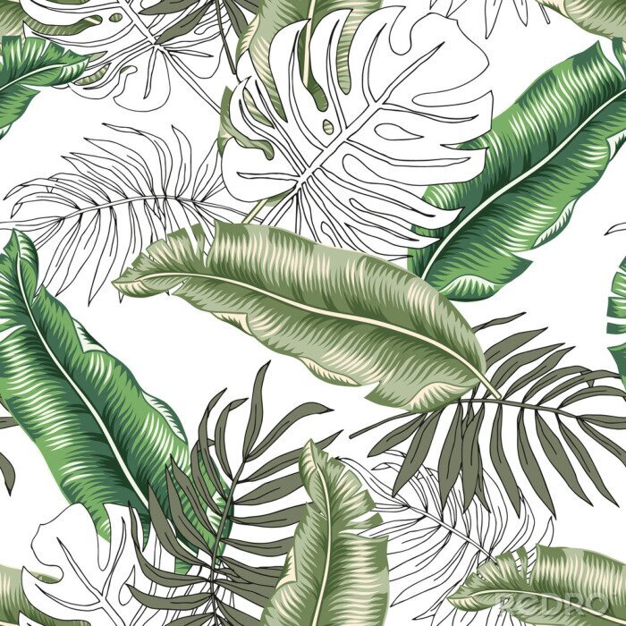 Papier peint à motif  Feuilles tropicales noires et blanches et vertes