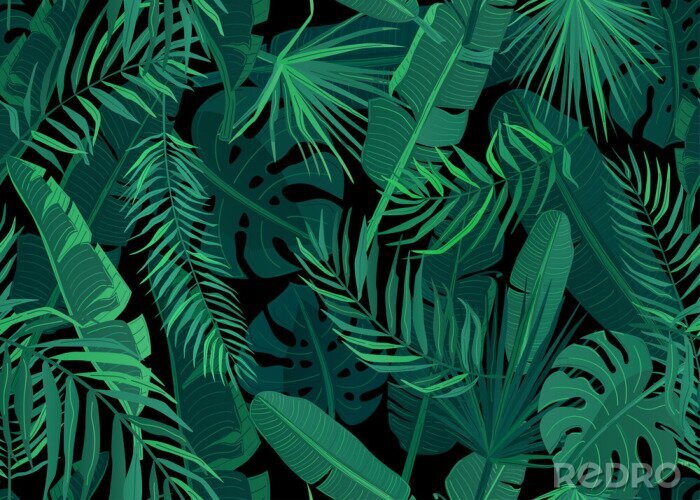 Papier peint à motif  Feuilles tropicales vertes sur fond noir