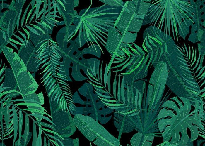 Papier peint à motif  Feuilles tropicales vertes sur fond noir