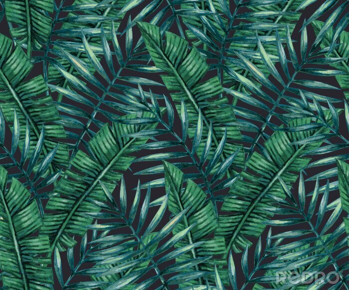 Papier peint à motif  Feuilles vert foncé de plantes tropicales