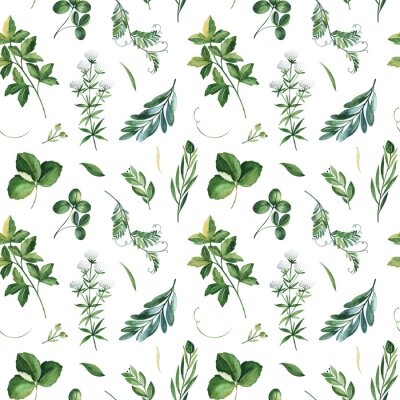 Papier peint à motif  Feuilles vertes des champs