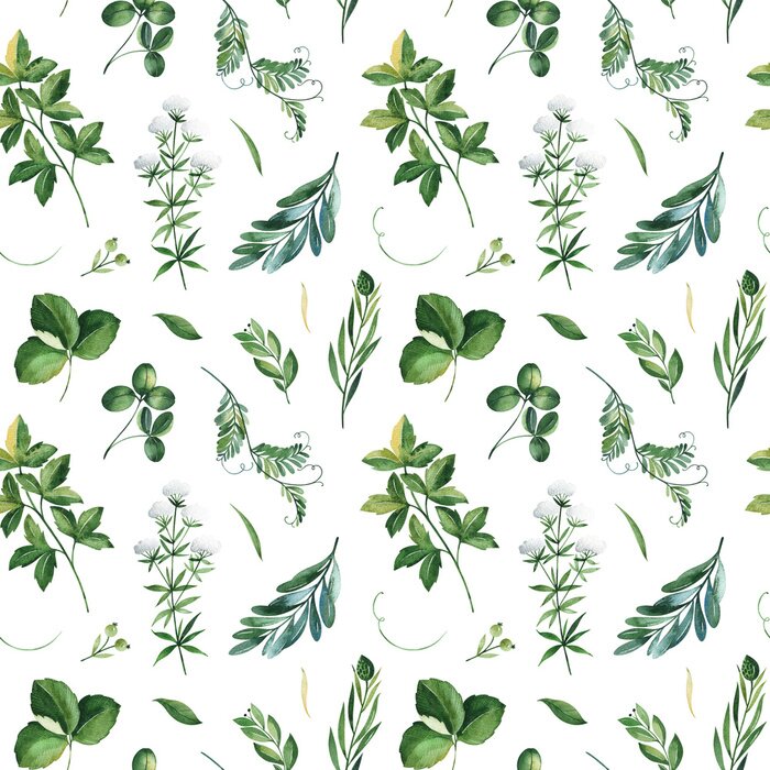 Papier peint à motif  Feuilles vertes des champs