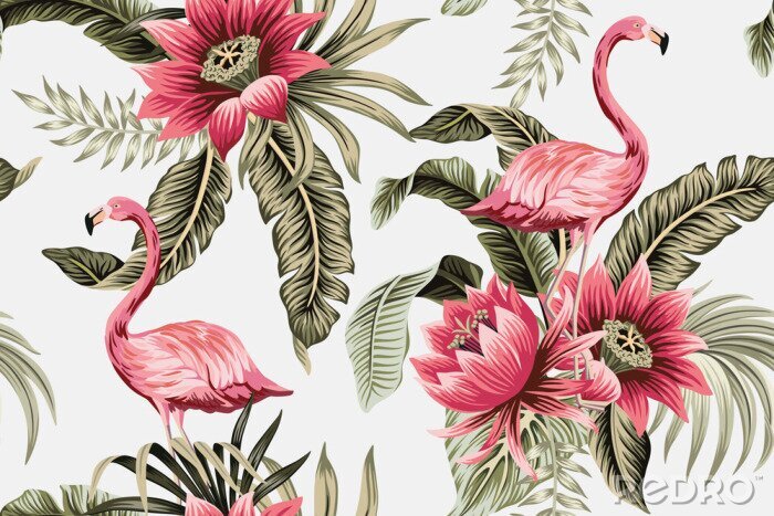 Papier peint à motif  Flamants roses parmi la végétation exotique