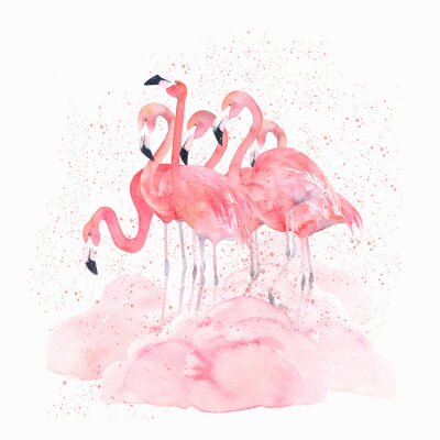 Flamants roses peints à l'aquarelle