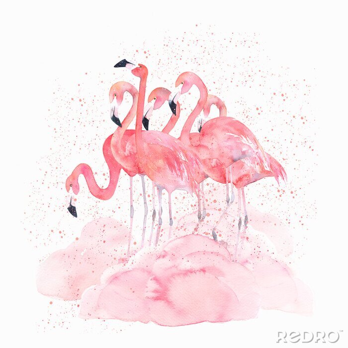 Papier peint à motif  Flamants roses peints à l'aquarelle