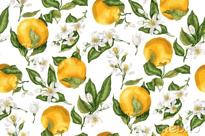 Papier peint à motif  Fleur d'oranger et fruits