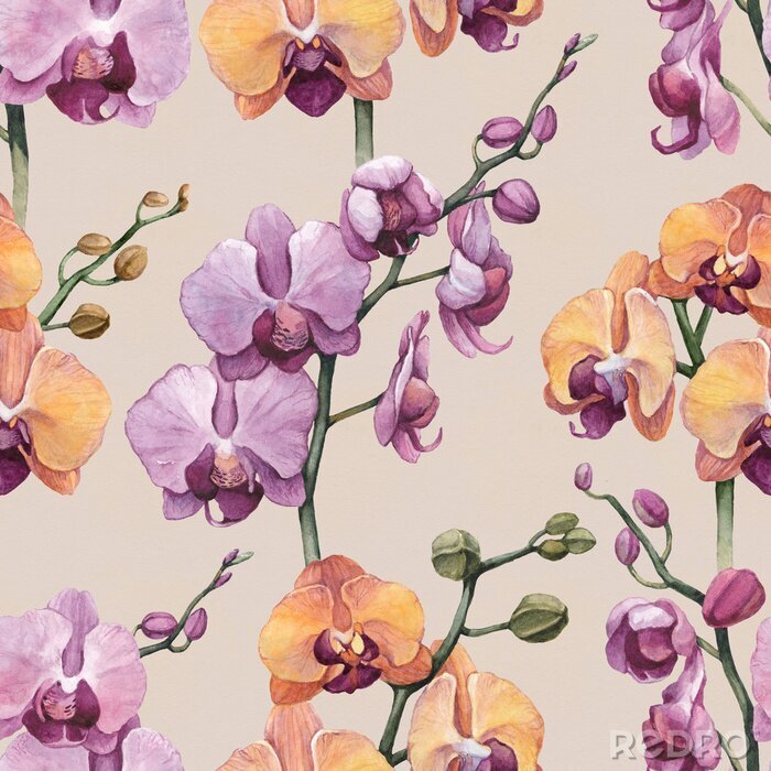Papier peint à motif  Fleurs d&#39;orchidées violettes et oranges