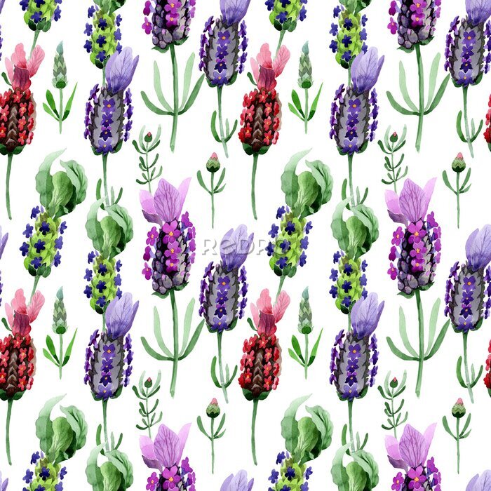 Papier peint à motif  Fleurs de lavande aquarellées sur un fond blanc