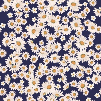 Papier peint à motif  Fleurs de marguerite sur fond bleu marine