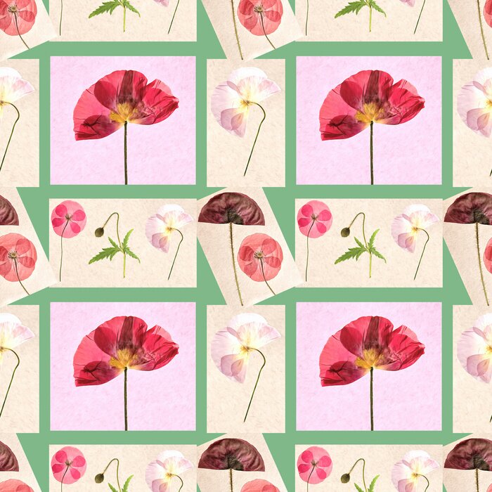 Papier peint à motif  Fleurs de pavot parmi les couleurs roses