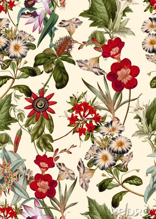 Papier peint à motif  Fleurs des champs sauvages sur un fond clair