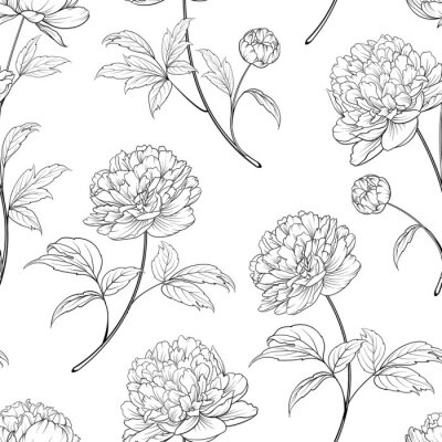 Papier peint à motif  Fleurs et feuilles noires et blanches de pivoines