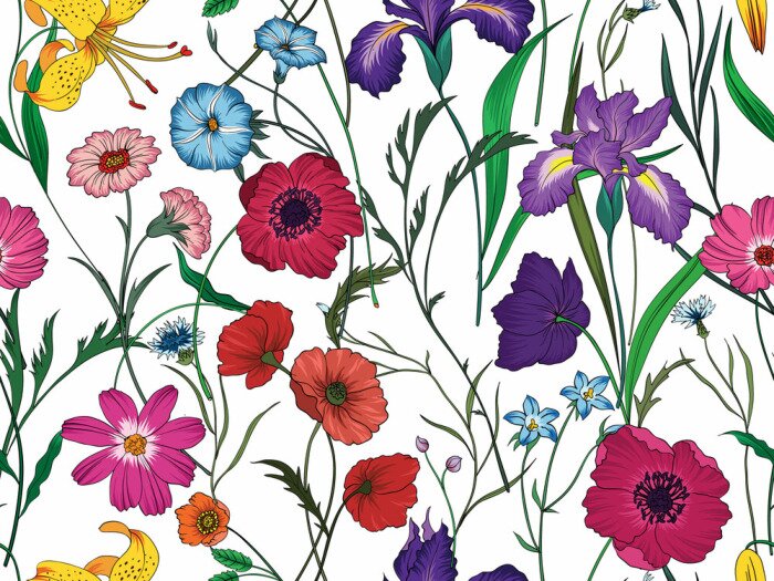 Papier peint à motif  Fleurs sauvages colorées sur fond blanc