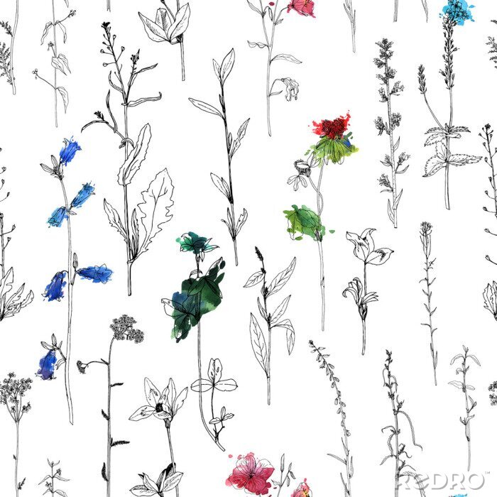 Papier peint à motif  Fleurs sauvages minimalistes