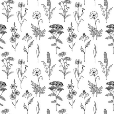 Papier peint à motif  Fleurs sauvages noires et blanches