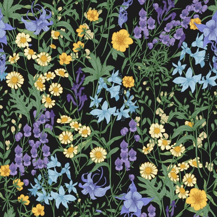 Papier peint à motif  Fleurs sauvages sur fond noir