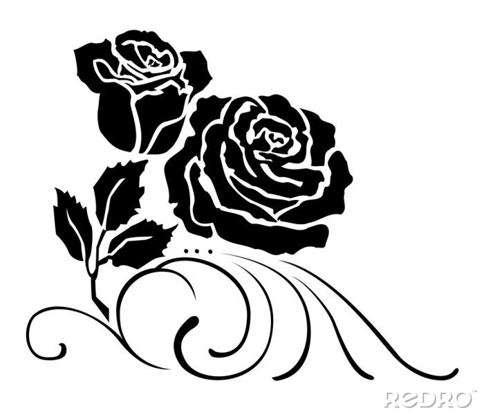 Papier peint à motif  Fleurs sur un graphique en noir et blanc