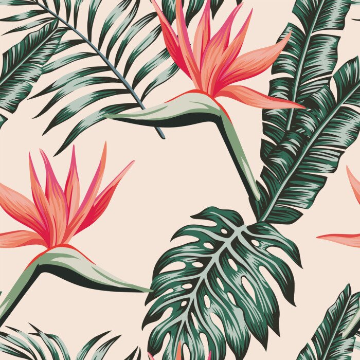 Papier peint à motif  Fleurs tropicales qui ressemblent à des oiseaux