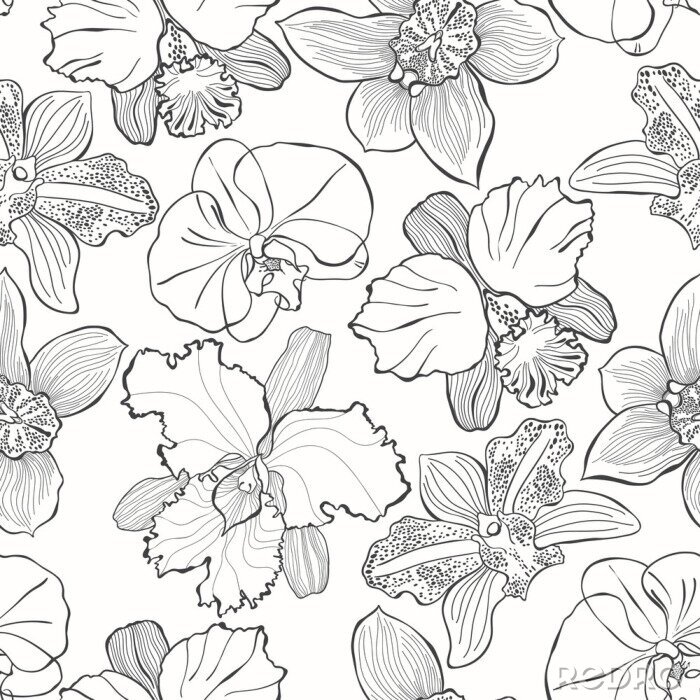 Papier peint à motif  Floral pattern sans couture avec des orchidées différentes dessinées à la main. Vector illustration en noir et blanc Dessin de contour