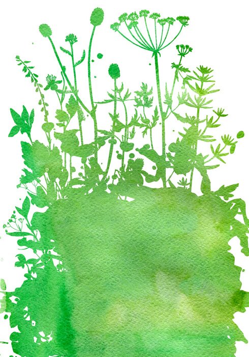 Papier peint à motif  Fond avec dessin d'herbes et de fleurs