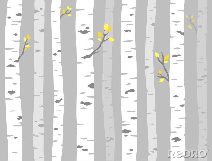 Papier peint à motif  Forêt dense de bouleaux