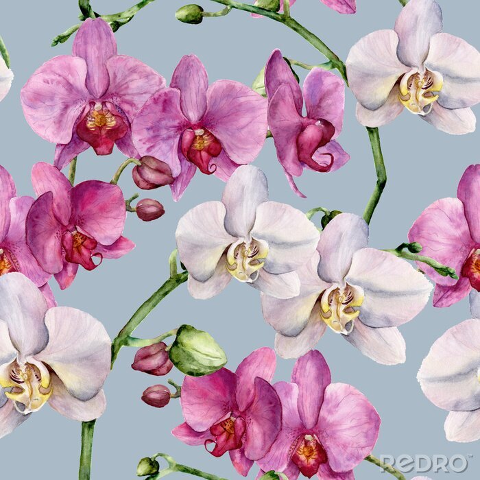 Papier peint à motif  Forme d'aquarelle avec orchidées blanches et roses. Ornement botanique floral peint à la main. Pour la conception, le tissu ou l'impression.
