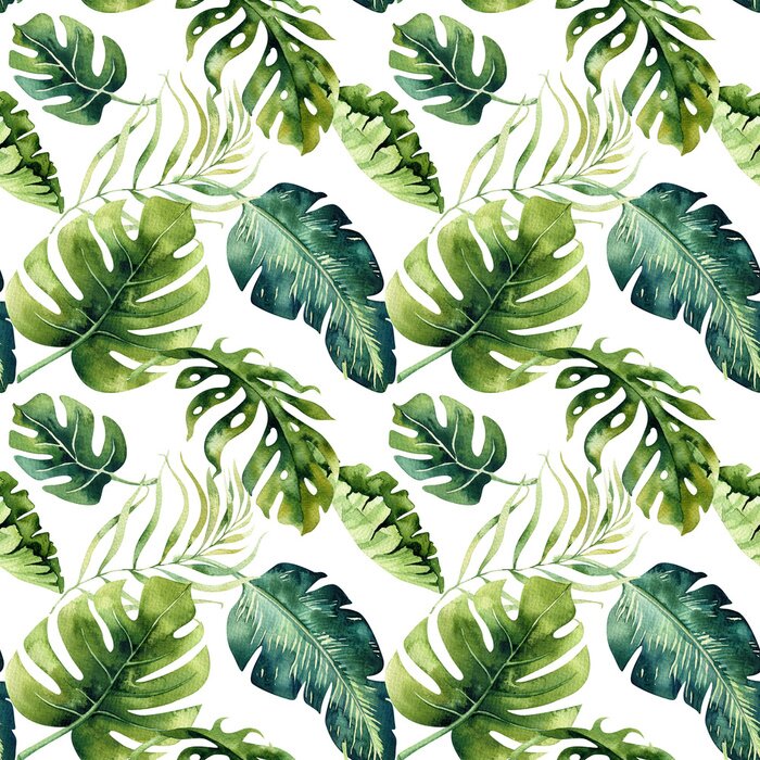 Papier peint à motif  Forme d'aquarelle sans couture de feuilles tropicales, jungle dense. Ha