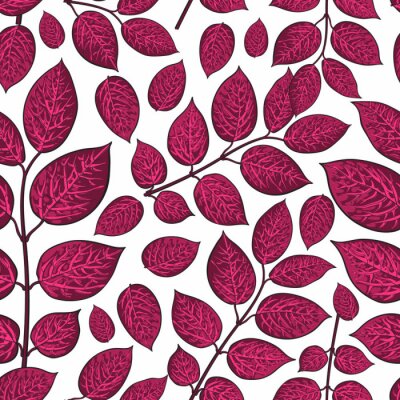 Papier peint à motif  Forme transparente de beau bouleau rouge foncé, feuilles de chèvrefeuille, brindille, branches, illustration vectorielle de style croquis sur fond blanc. Motif à la main doux à motifs mûrs