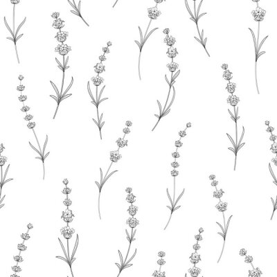 Papier peint à motif  Forme transparente de fleurs de lavande sur fond blanc. Modèle d'aquarelle avec lavande pour papier paquet. Illustration vectorielle.
