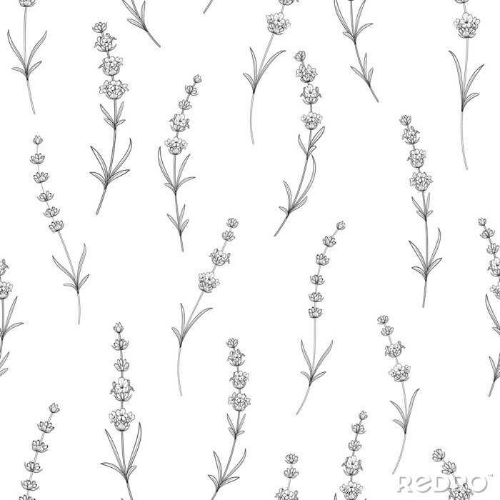 Papier peint à motif  Forme transparente de fleurs de lavande sur fond blanc. Modèle d'aquarelle avec lavande pour papier paquet. Illustration vectorielle.