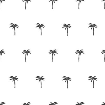 Papier peint à motif  Forme transparente en noir et blanc avec le palmier. Vector background tropical.