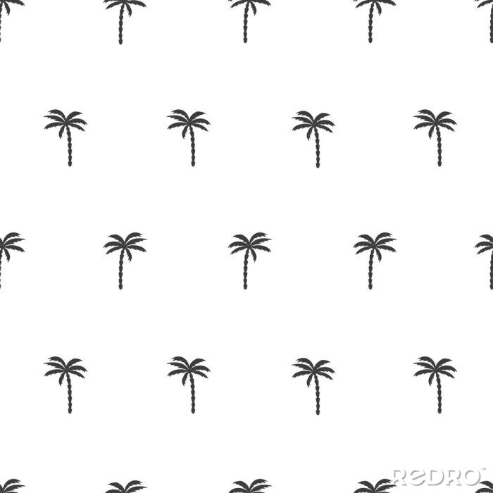 Papier peint à motif  Forme transparente en noir et blanc avec le palmier. Vector background tropical.