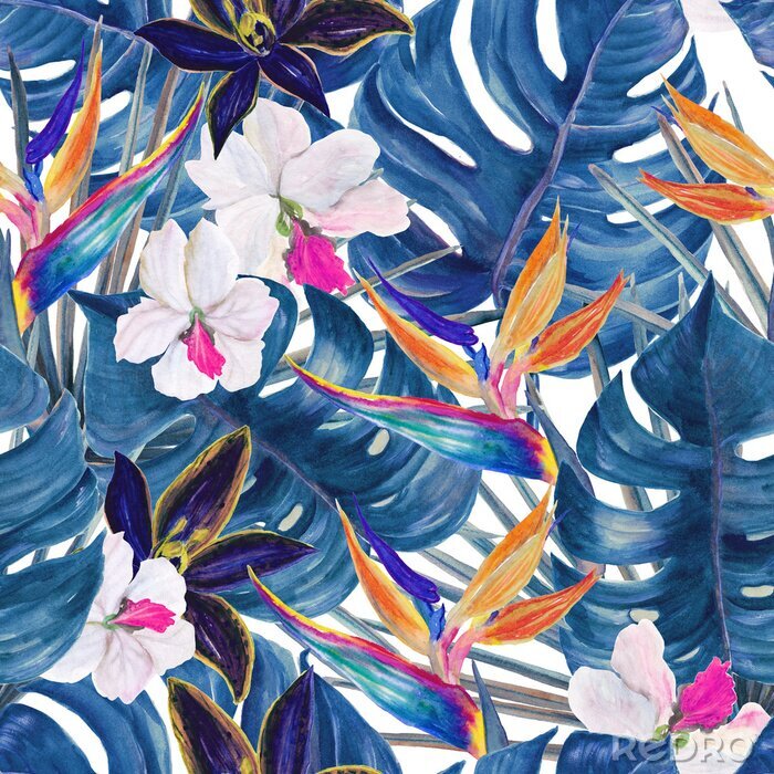 Papier peint à motif  Forme tropicale aquarelle transparente avec des plantes exotiques. Palm et deliciosa feuilles. Fleurs d'orchidées et d'oiseaux du paradis