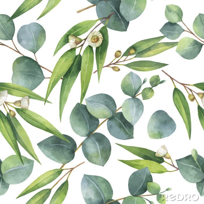Papier peint à motif  Fourrés verts d'eucalyptus